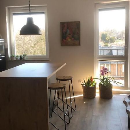 מאלבורק Apartament Goscinne Sady מראה חיצוני תמונה