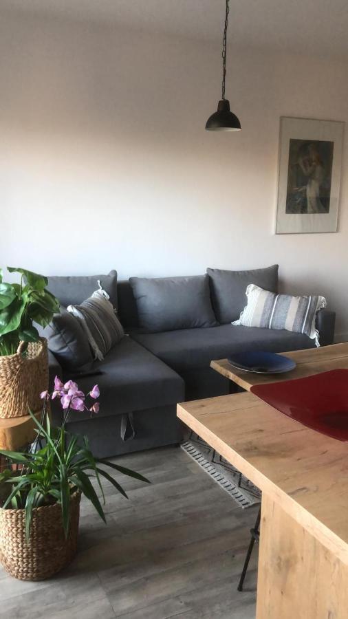 מאלבורק Apartament Goscinne Sady מראה חיצוני תמונה